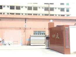 公司风采 
